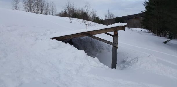 New Recurring Membership Renewals Available