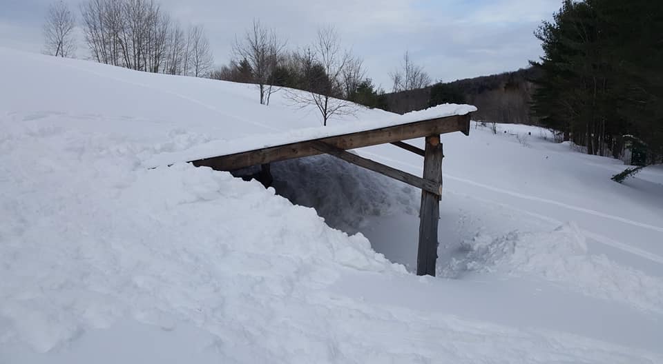 New Recurring Membership Renewals Available